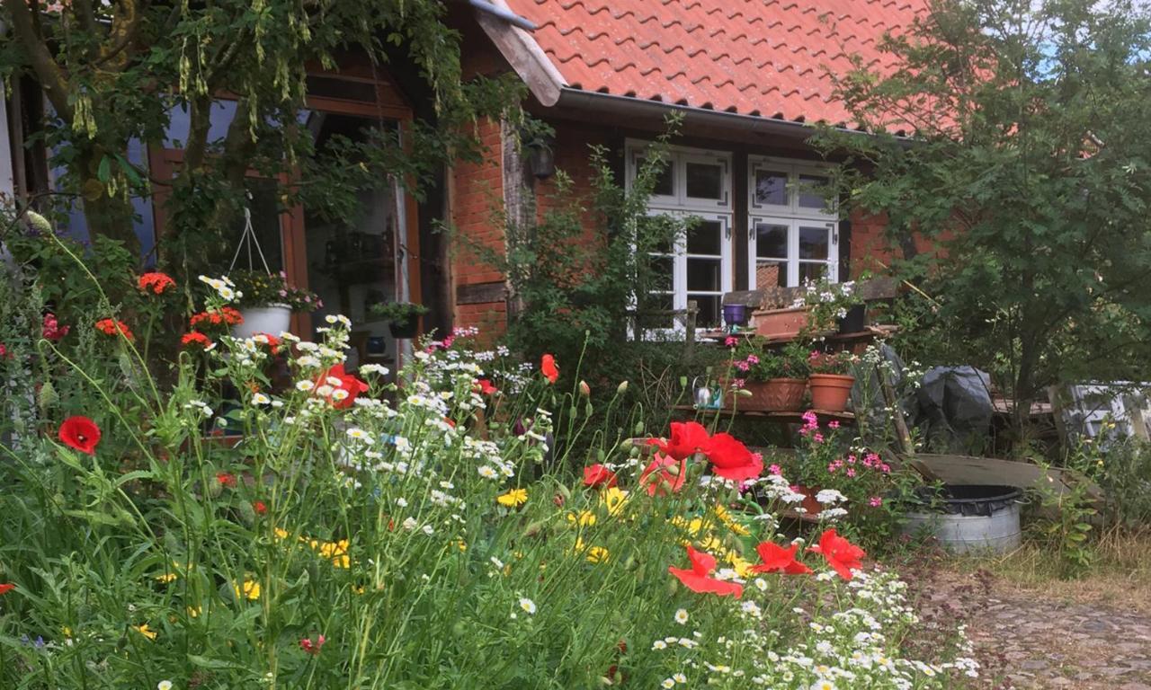 Rauchhaus Appartement