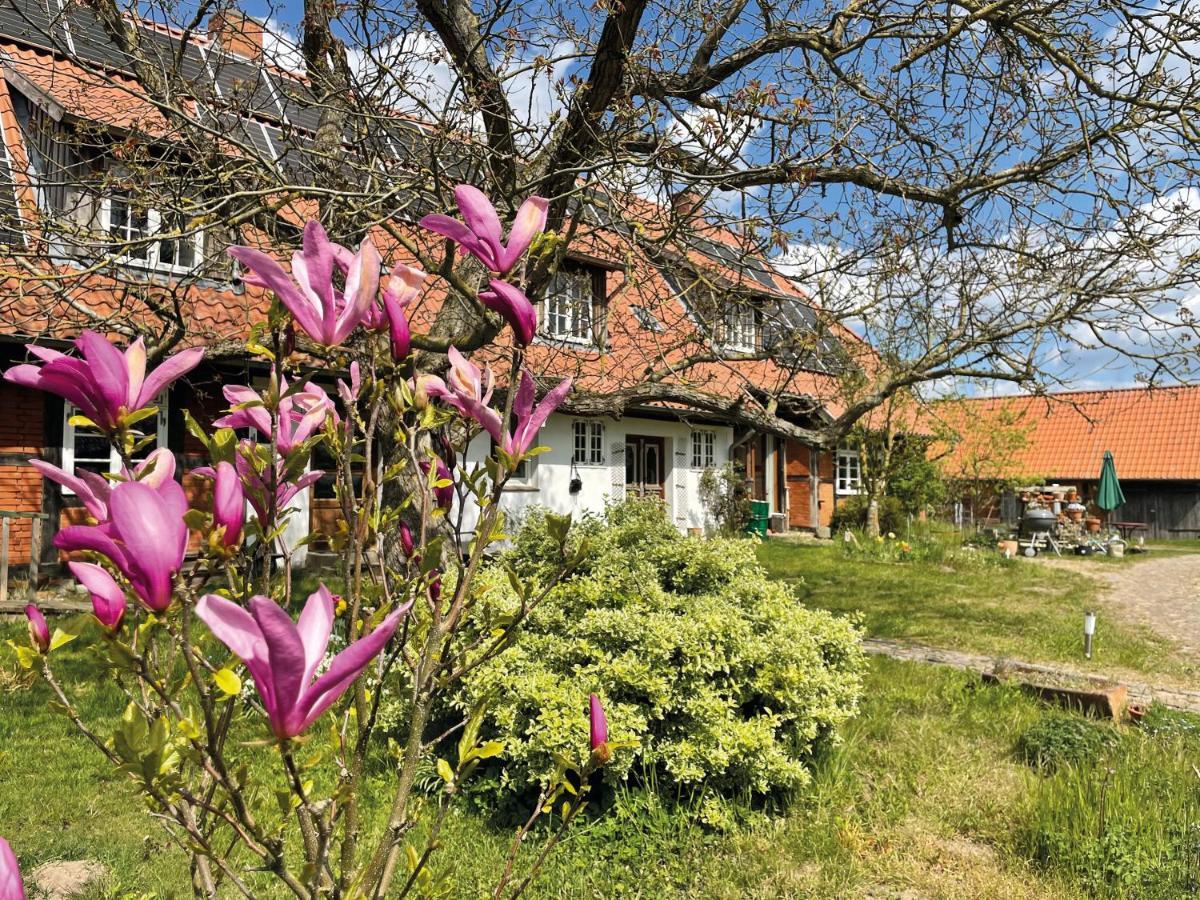 Rauchhaus Appartement Karft
