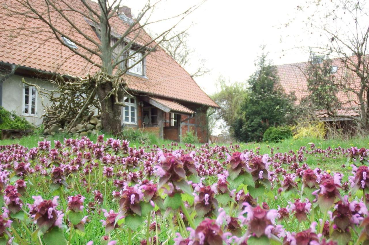 Rauchhaus Appartement Karft